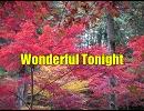 Wonderful Tonight 2