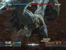 The Last Remnant ラストレムナント vsヴァスパリア
