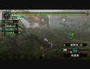 【MHP2G】kaiで観る地雷達の日常11