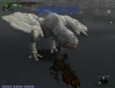 [MHF] 韋駄天杯 フルフル 自由笛
