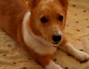 きょうのEin