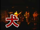 犬（代々木Zher the ZOO/ライブ音源）－井乃頭蓄音団