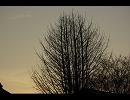 あなたの空