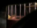 【田代】おしゃべり練習を盗撮【プー】