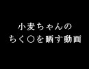 【パチスロ】小麦ちゃんのちく○を晒す動画