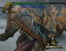 【MHF】一人で勝手に大連続狩猟クエスト『モンスターハンター』編 その8