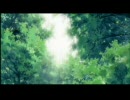 鳥がぁ～