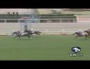 gdsmileuの競馬予想　阪神ジュベナイルフィリーズ