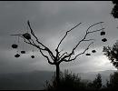 鳥がいない ／ 福山芳樹