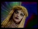 【80s】　NINA HAGEN  /   ZARAH