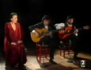 Carmen Linares - Siguillya