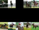 【競馬】亡きサラブレットたちに捧ぐ鎮魂動画2008