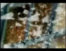 [MAD]ラーゼフォン