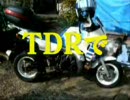 【TDR80怪】　ちょろっとナフコまで