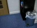 横浜初の猫カフェ　れおん