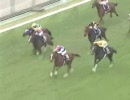 素人galaの競馬予想　番外編　「神曲に乗って～My Favorite Races～」