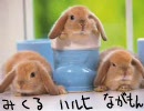 バニー×3でドラクエ3を実況していきたい　その5【FC版】