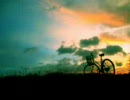 自転車で出せるだけのスピード 風さえも追い越した気がした