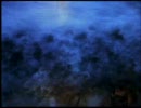 Ampire1 part11