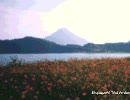 旧版Lost Memoryをプレイ。　07