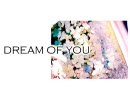 【VOCALOID】Dream of you【MEIKO】