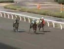 競馬　３頭立て