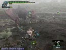MHF　へたれアーチャー・ゲリョス亜種