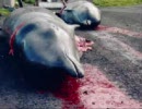 ヨーロッパの捕鯨
