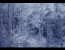 『WINTER SONG』  歌ってみた