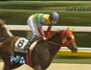 3歳500万_アグネストラベル