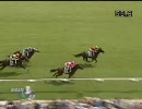 3歳未勝利_ルミナスポイント