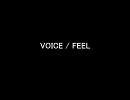VOICE / FEEL