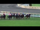 【競馬】ジャパンカップを撮るはずが･･･【現地撮影】