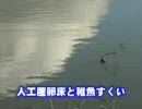 ブラックバス駆除マニュアル 宮城県伊豆沼の事例紹介 1/2