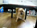 りょうま風呂上り。
