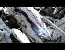 エンコテスト for AC