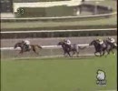 【競馬】[2008年12月20日]ひいらぎ賞(2歳500万下)　メジロチャンプ