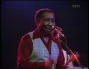 Muddy Waters - Got My Mojo Working
