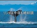 太鼓の達人　音源　リンダは今日も絶好調