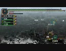 【モンハン戦隊シリーズ】甲虫戦隊オウビートX　第2回【MHP2G実況】