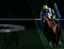 ダビスタ98実況プレイ。三冠馬を生産する！１１４(まとめ＆ＢＣ告知)