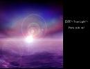 【KAITO】白夜～True Light～