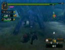 【MHP2G】VSナルガクルガ
