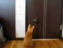 一撃離脱！たび