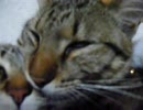 平凡な一日