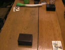 MTGで遊んでみた その10（ゾンビ対ウナギ）