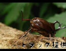 【ニコラップ】　トラック提供3　【P-S-Y】