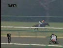【競馬】第４３回京成杯　ブルーイレヴン大暴走