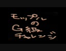 【MHP2G】モップルのG級チャレンジ！-その２-【高画質って難しいorz】