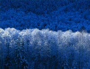 winter comes around again -TK mix-